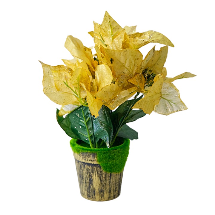 Aranjament floral cu Craciunita Artizanala in ghiveci, Auriu 29cm, Velve