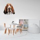 Sticker decorativ perete, auto si geam, Caine -Basset Hound model 2, 20 CM