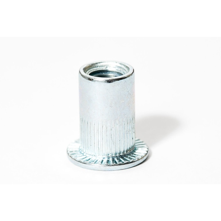 Piulite nituibile cu cap cilindric M4 ( g 0.25 - 3), zincat, AN 315, 500 bucati