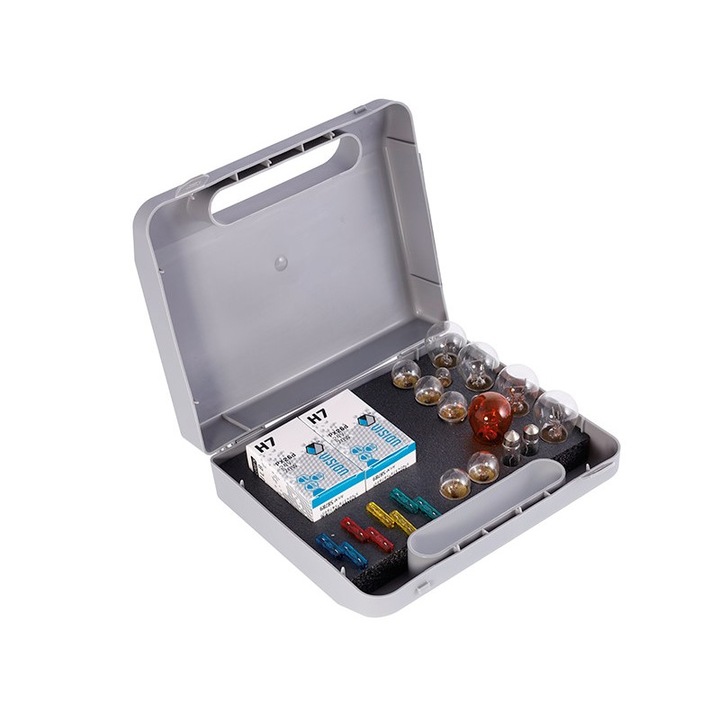 Set 24 becuri/sigurante auto, Vision, 24 V, 70 W, Multicolor