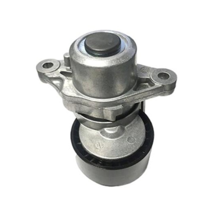 Intinzator curele trapezoidale, SKF, Pentru DS DS 3, DS 4, DS 5; CITROEN BERLINGO, BERLIN