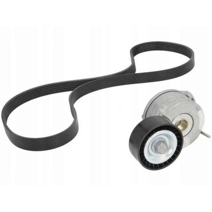 Ékszíj készlet, Ina, Ford C-MAX II-hez