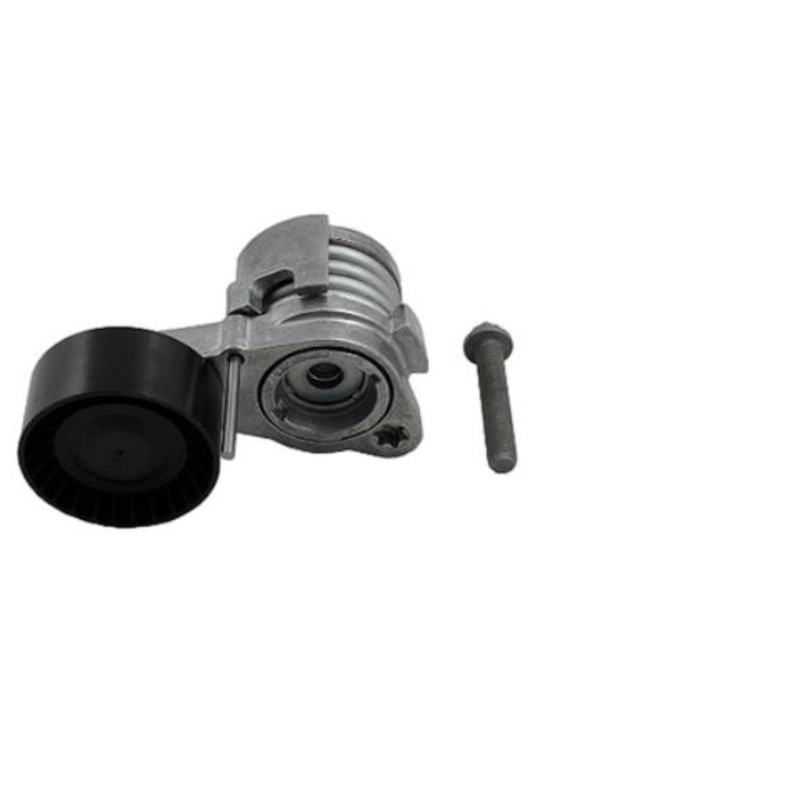 Intinzator curea transmisie, Ina, Pentru BMW 5/7/X3 2.5/3.0, Argintiu/Negru