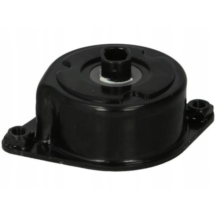 Sebességváltó szíjfeszítő, INA, BMW/Land Rover/Range Rover/Opel, fekete/ezüst