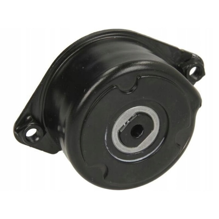 Sebességváltó szíjfeszítő görgő, INA, BMW/Land Rover/Range Rover, fekete/ezüst