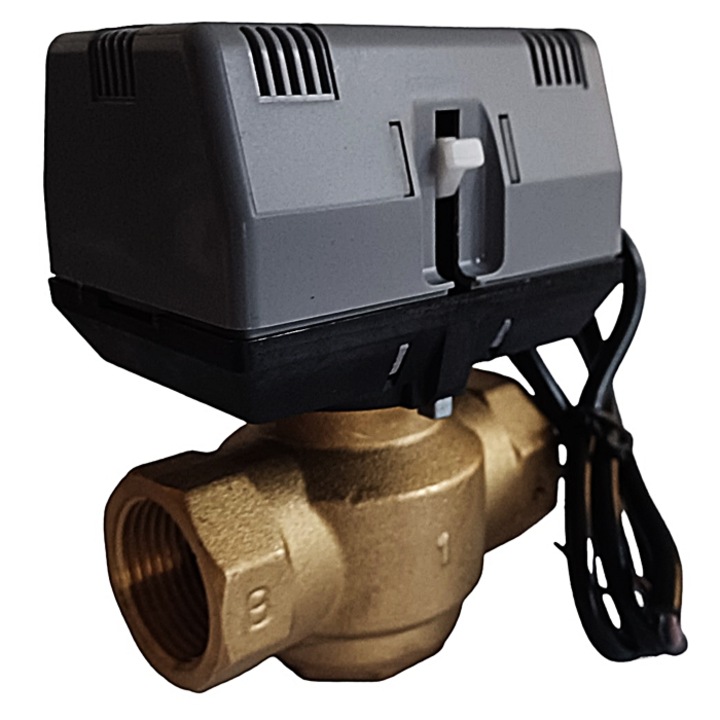 2 utas szelep - 1" BE/KI szervomotorral 220V/50Hz, Daver