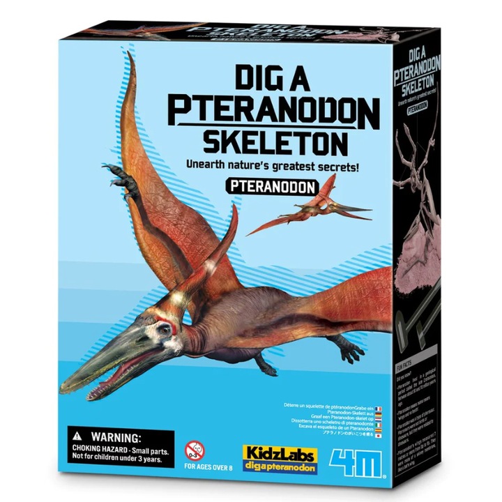 Régészeti ásatások készlete Áss egy Pteranodon csontvázat 4M