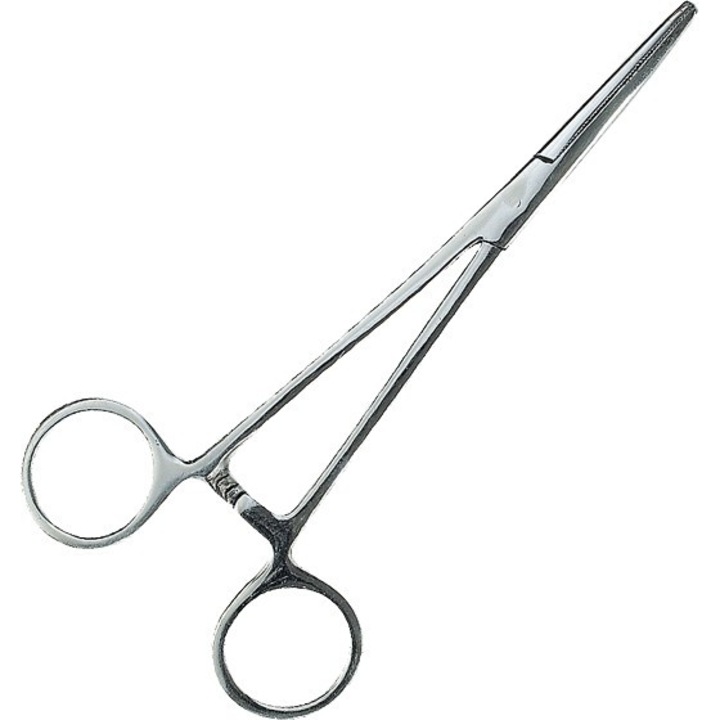 Cleste pentru pescuit, Jaxon, Varf drept, 18 cm, Argintiu