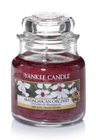 Yankee Candle Lumanare parfumata in borcan mic Madagascan Orchid
