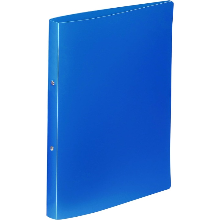 Caiet mecanic albastru a4 2 inele Viquel