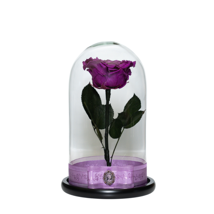 Trandafir criogenat XXL in cupola de sticla 30 cm pe blat negru, petale si brosa Camee, Mov, Star Decor