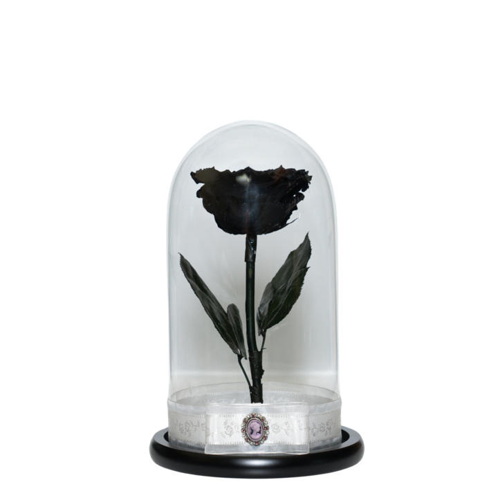 Trandafir criogenat XXL in cupola de sticla 30 cm pe blat negru, petale si brosa Camee, Negru, Star Decor