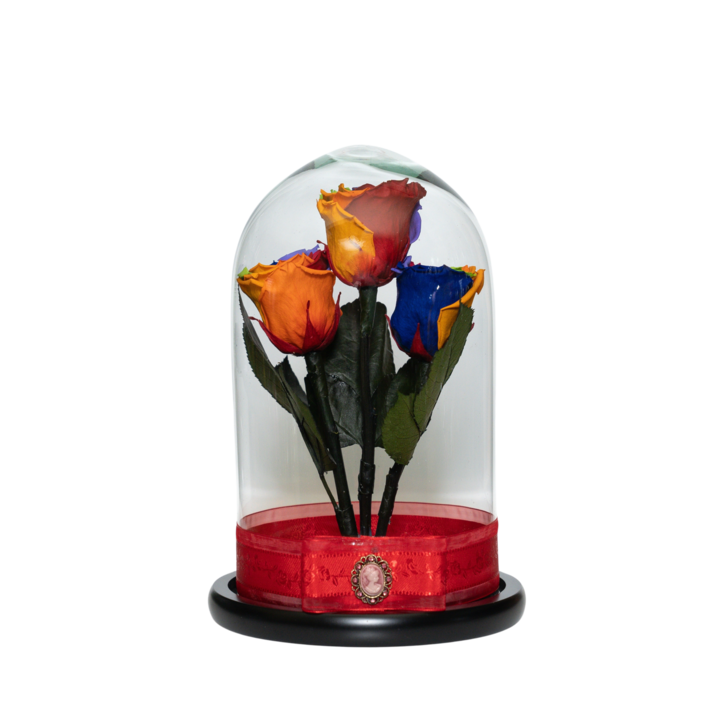 Aranjament cu 3 trandafiri criogenati in cupola de sticla 30 cm pe blat negru, petale si brosa Camee, Multicolor, Star Decor