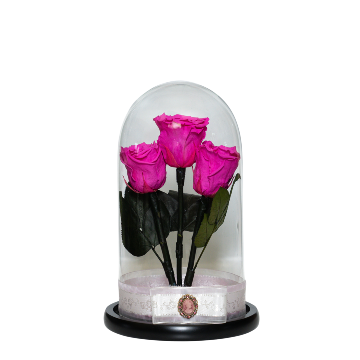 Aranjament cu 3 trandafiri criogenati in cupola de sticla 30 cm pe blat negru, petale si brosa Camee, Roz, Star Decor
