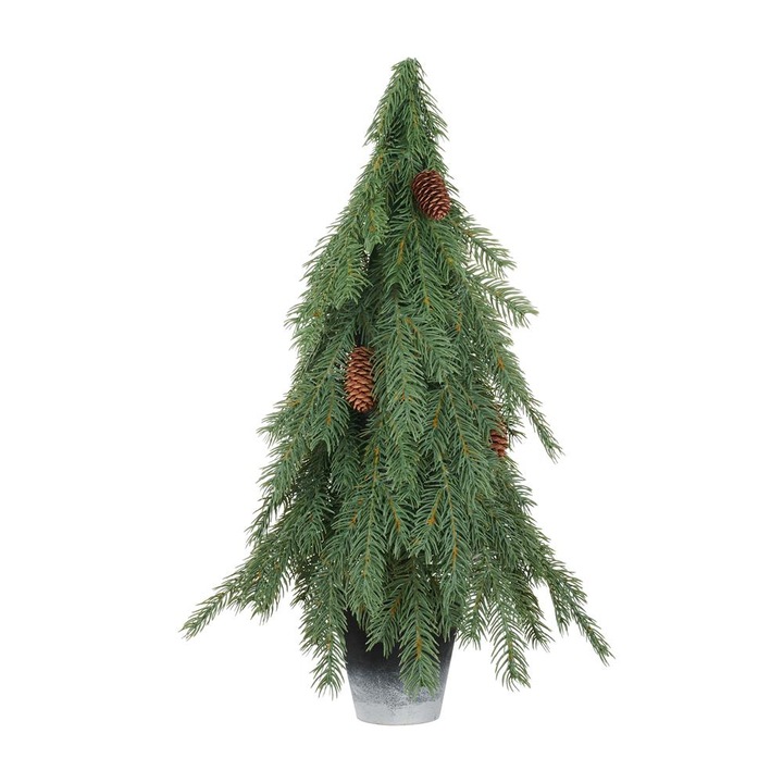 Brad de Craciun, Villa Italia, 60 cm, In ghiveci, Verde