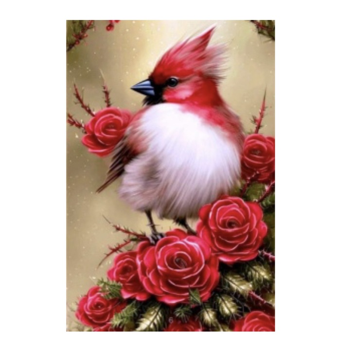 Tablou GM512 Pasarea Cardinal Pictura cu Diamante, Goblen cu pietre 5D, cu rama de lemn, 20 x 30 cm