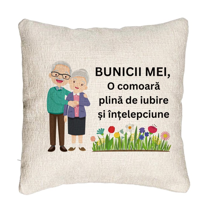 Perna Decorativa Canapea pentru Bunici 4, 40x40 cm, Cu fermoar