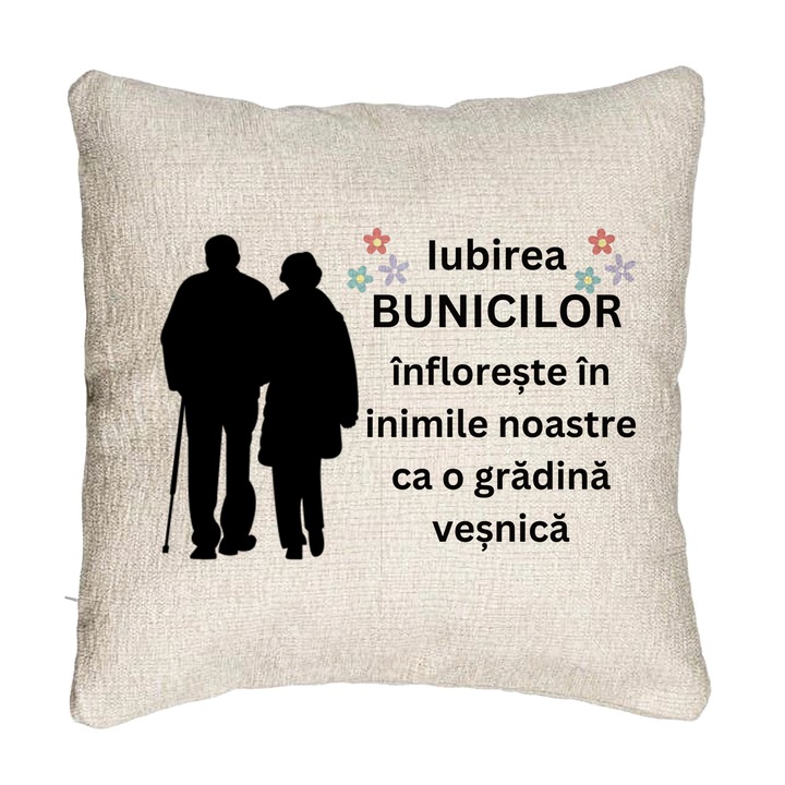 Perna Personalizata Canapea pentru Bunici 1, 40x40 cm, Cu fermoar
