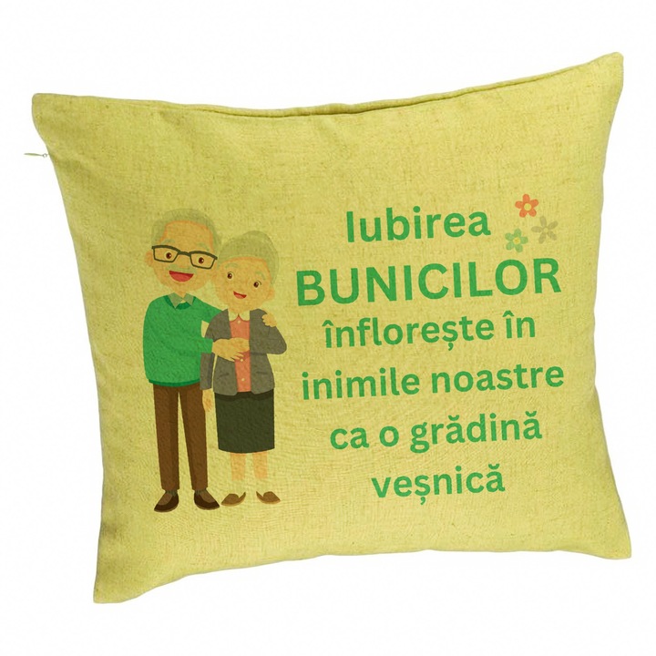 Perna Personalizata pentru Bunici 5, 40x40 cm, Verde, Husa Detasabila, Burduf