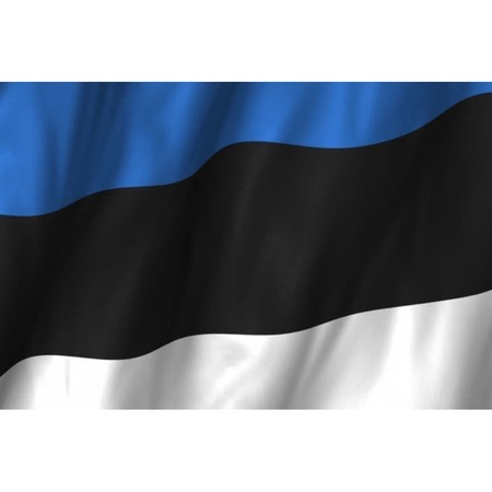 Steagul national marin, Talamex, 30x45cm, Estonia - eMAG.ro