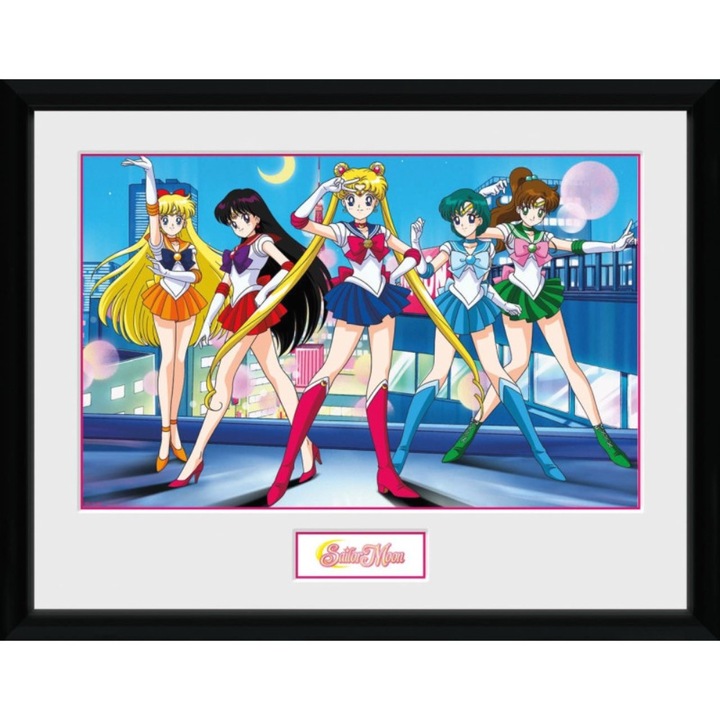 Poszter cu Rama Sailor Moon - Csoport (30x40)
