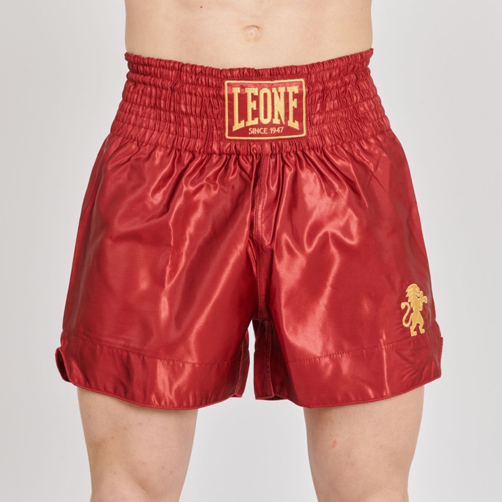 Short Leone Kick Basic 2, Visiniu