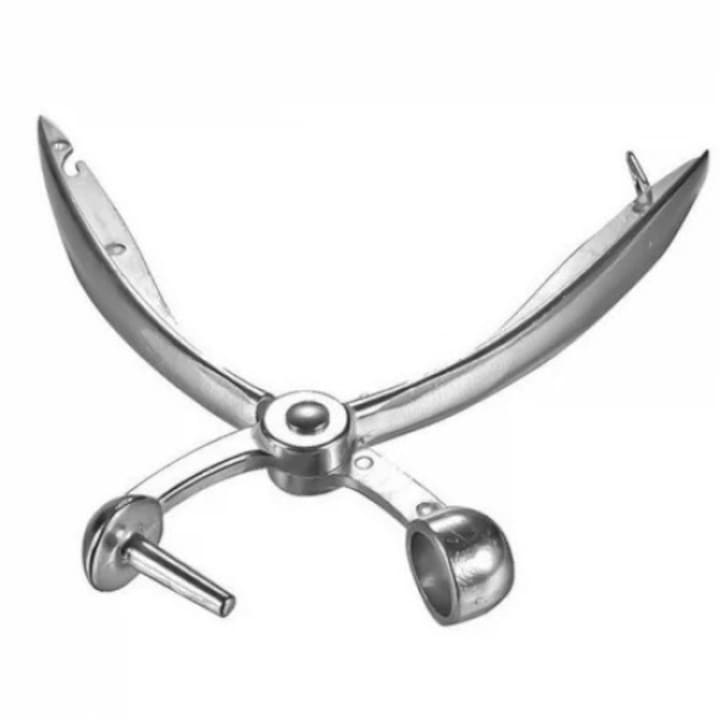 Ustensila de scos samburi, masline, cirese,, visine Argintiu - Enz Shop