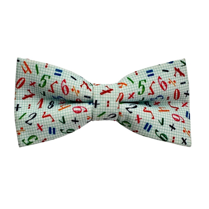 Papion Matematician, hand made 12x6 cm