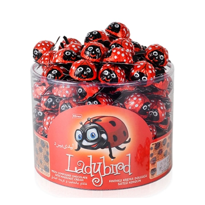 Cutie gargarite de ciocolata Ladybird Elvan 100 buc x 8 grame
