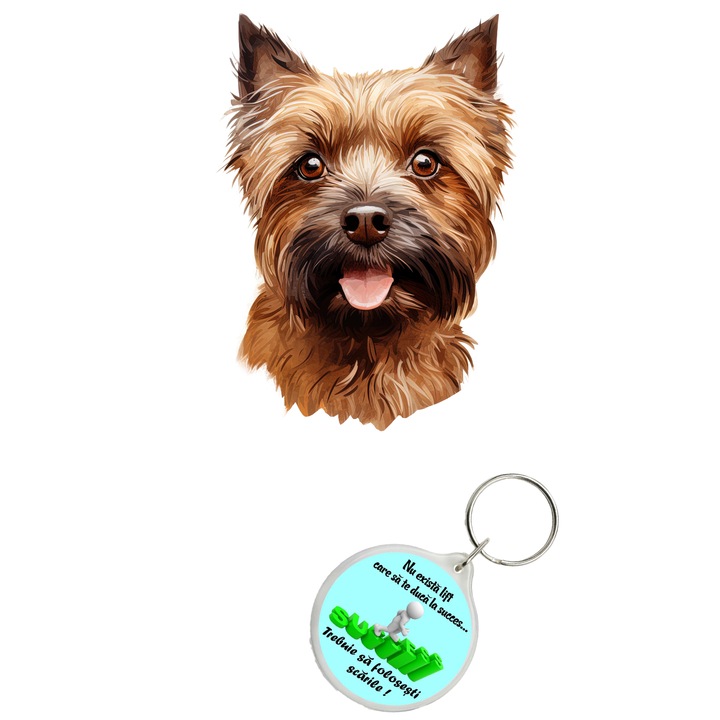Set sticker decorativ perete, auto si geam, Caine -Affenpinscher Brown model 1, 35 CM si breloc succes