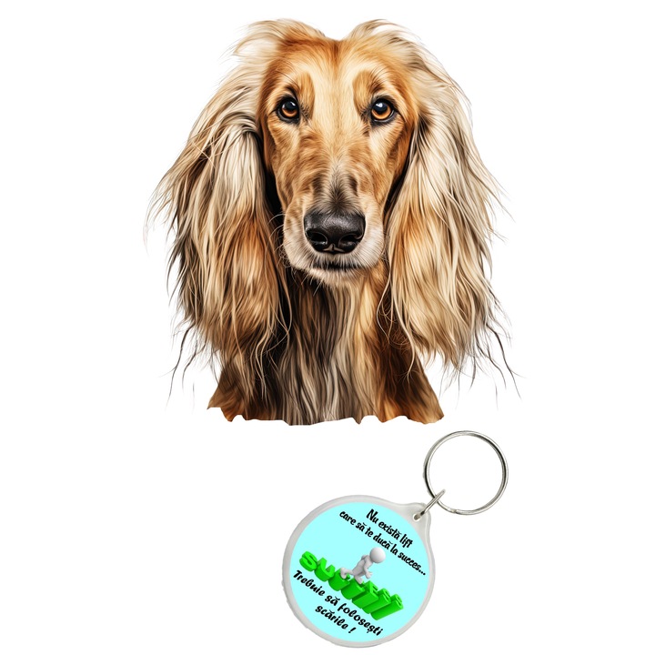 Set sticker decorativ perete, auto si geam, Caine -Afghan Hound model 5, 40 CM si breloc succes