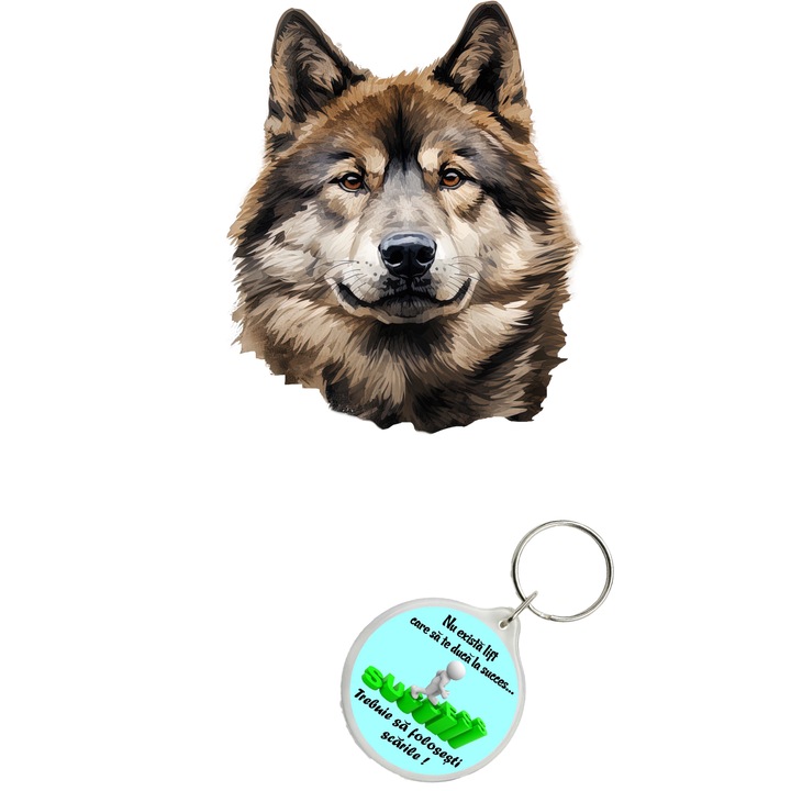Set sticker decorativ perete, auto si geam, Caine -Akita model 4, 35 CM si breloc succes