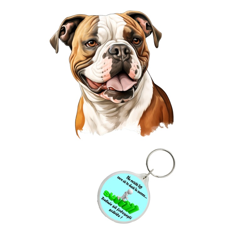 Set sticker decorativ perete, auto si geam, Caine -American Bulldog, 35 CM si breloc succes