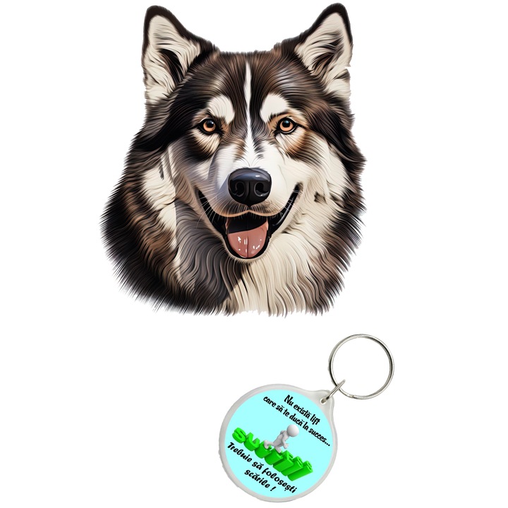 Set sticker decorativ perete, auto si geam, Caine -Alaskan Malamute model 10, 35 CM si breloc succes