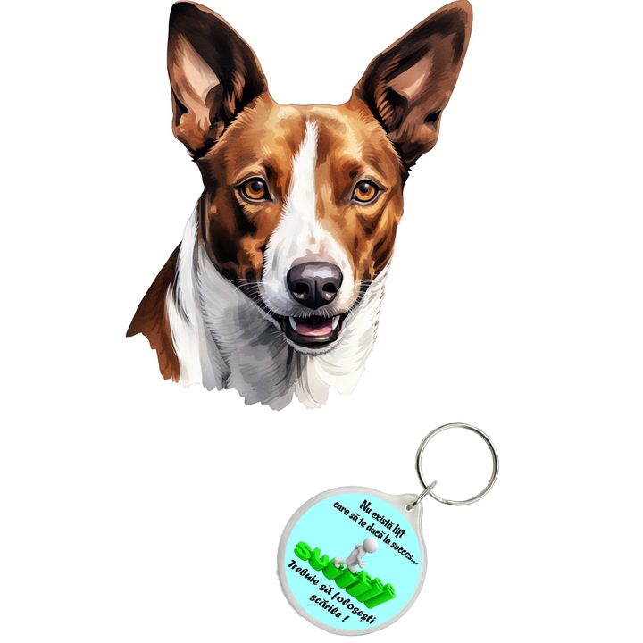 Set sticker decorativ perete, auto si geam, Caine -Basenji model 3, 40 CM si breloc succes