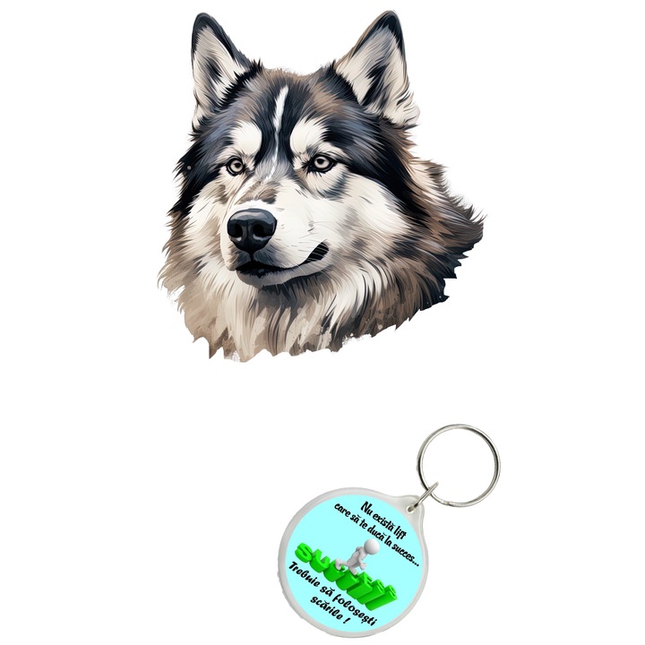 Set sticker decorativ perete, auto si geam, Caine -Alaskan Malamute model 01, 35 CM si breloc succes