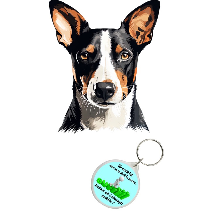 Set sticker decorativ perete, auto si geam, Caine -Basenji model 1, 35 CM si breloc succes