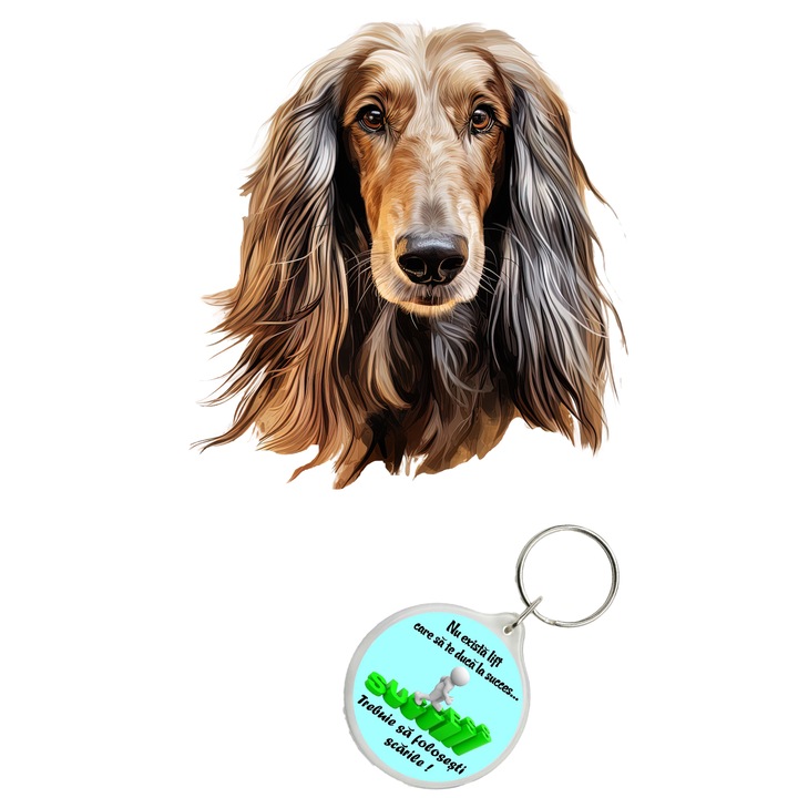 Set sticker decorativ perete, auto si geam, Caine -Afghan Hound model 3, 35 CM si breloc succes