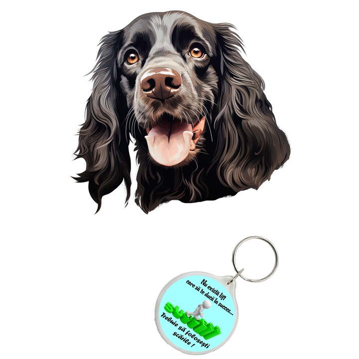 Set sticker decorativ perete, auto si geam, Caine -American Cocker Spaniel model 2, 40 CM si breloc succes
