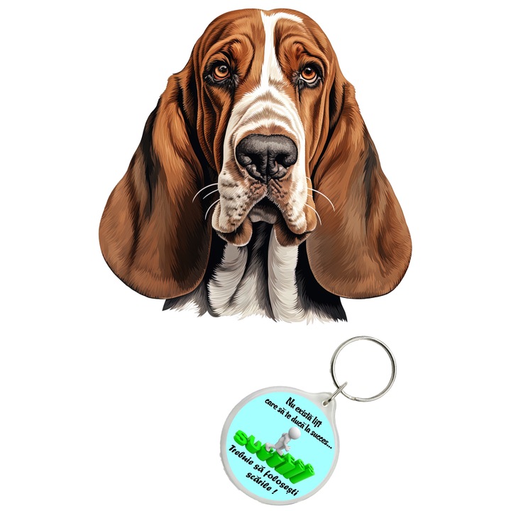 Set sticker decorativ perete, auto si geam, Caine -Basset Hound model 4, 40 CM si breloc succes