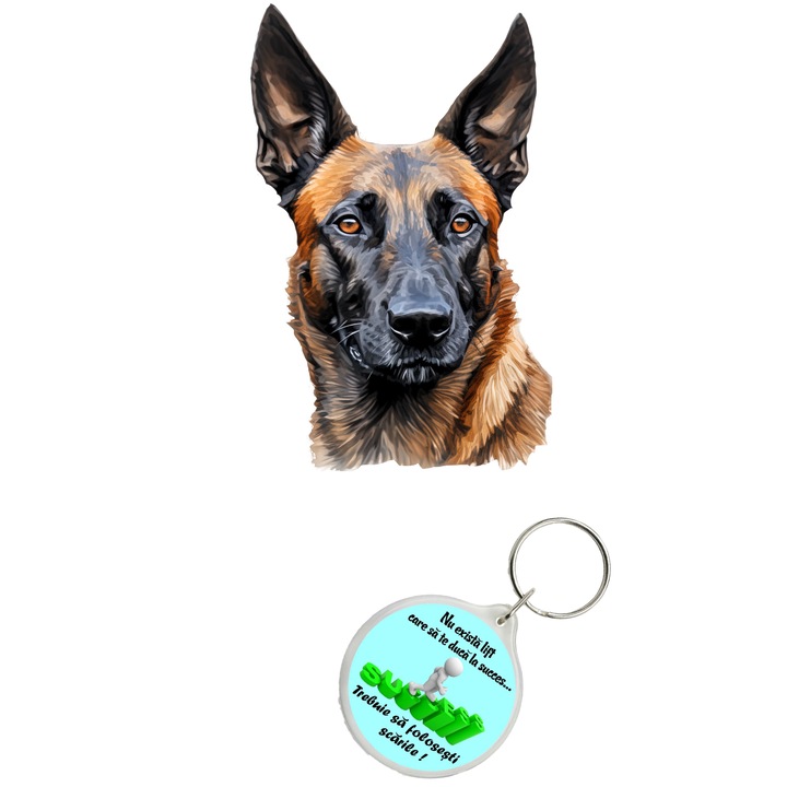 Set sticker decorativ perete, auto si geam, Caine -Belgian Malinois model 7, 30 CM si breloc succes