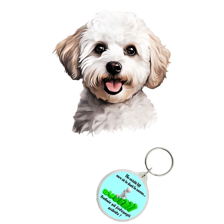 Set sticker decorativ perete, auto si geam, Caine -Bichon Frise model 2, 35 CM si breloc succes