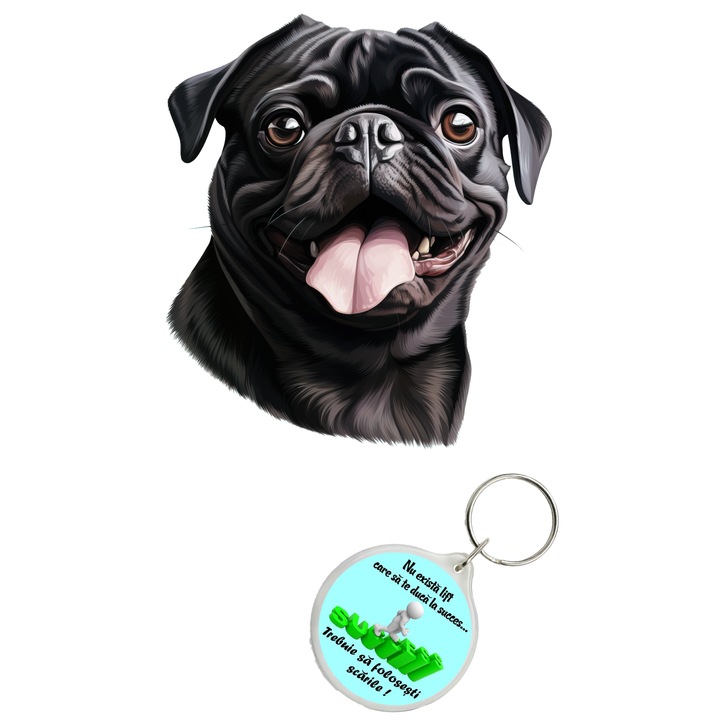 Set sticker decorativ perete, auto si geam, Caine -Black Pug, 35 CM si breloc succes