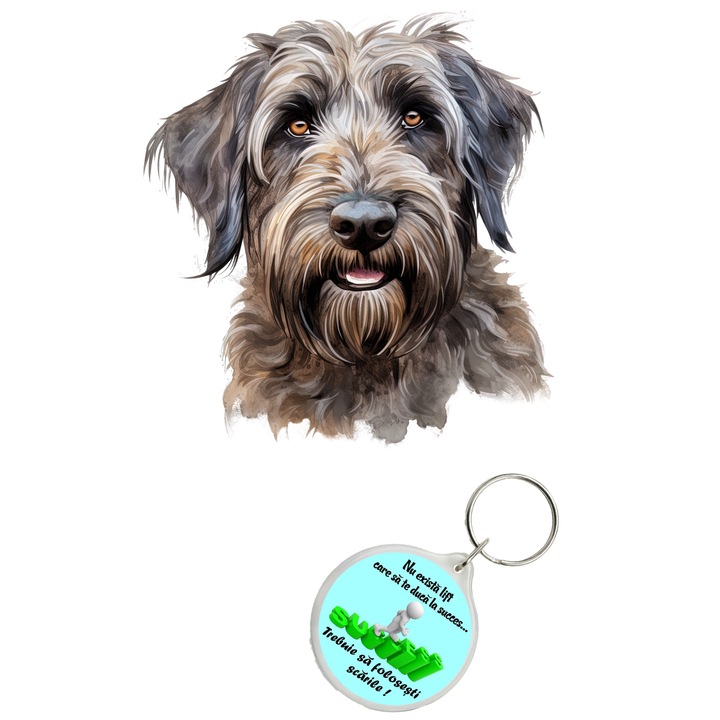 Set sticker decorativ perete, auto si geam, Caine -Briard model 2, 35 CM si breloc succes