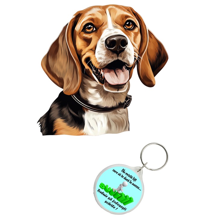 Set sticker decorativ perete, auto si geam, Caine -Beagle model 3, 40 CM si breloc succes