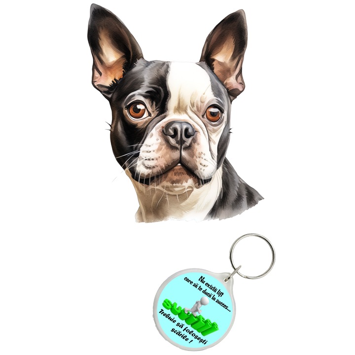 Set sticker decorativ perete, auto si geam, Caine -Boston Terrier model 1, 30 CM si breloc succes