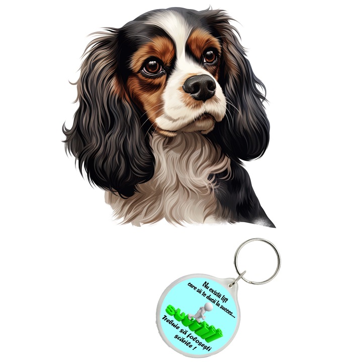 Set sticker decorativ perete, auto si geam, Caine -Cavalier King Charles Spaniel Dog model 2, 30 CM si breloc succes