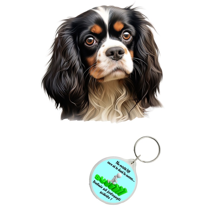 Set sticker decorativ perete, auto si geam, Caine -Cavalier King Charles Spaniel Dog model 3, 40 CM si breloc succes