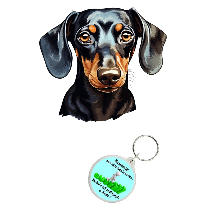Set sticker decorativ perete, auto si geam, Caine -Dachshund model 4, 35 CM si breloc succes