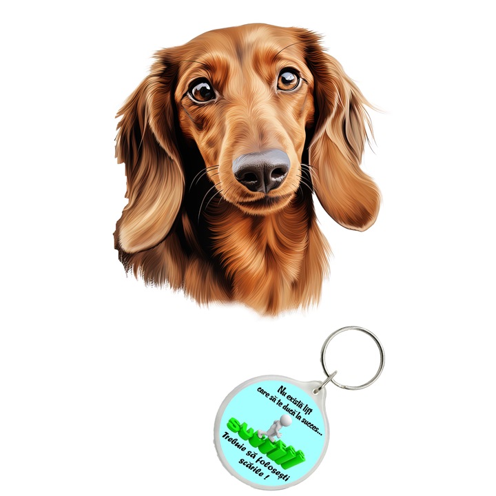 Set sticker decorativ perete, auto si geam, Caine -Dachshund Brown model 3, 40 CM si breloc succes